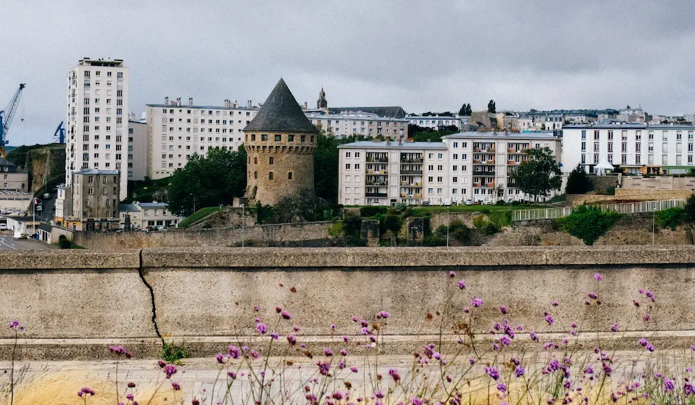 Luxior Immobilier